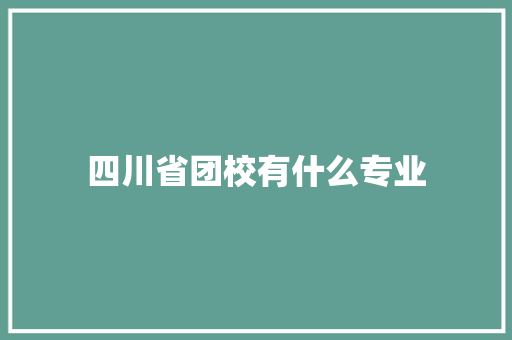 四川省团校有什么专业