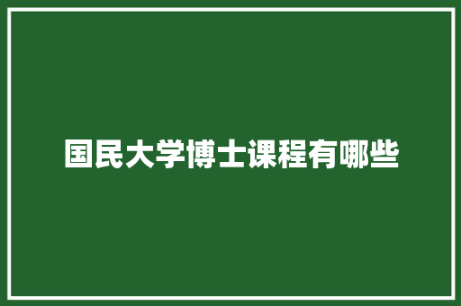 国民大学博士课程有哪些 商业计划书范文