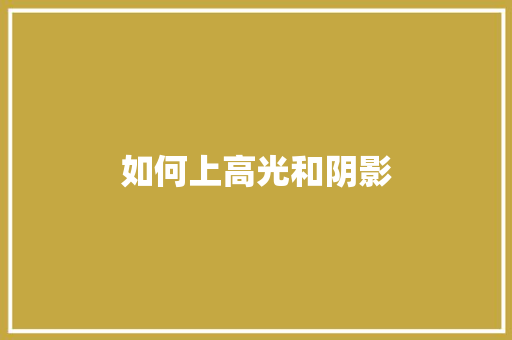 如何上高光和阴影 范文宝典