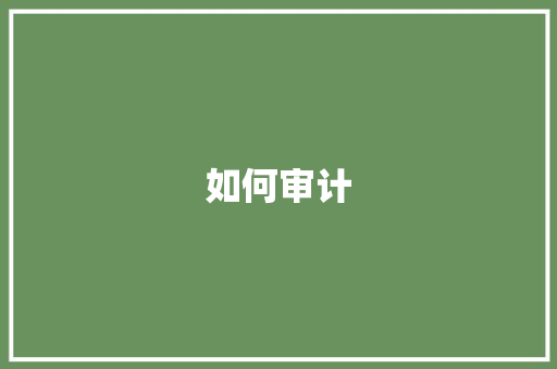 如何审计