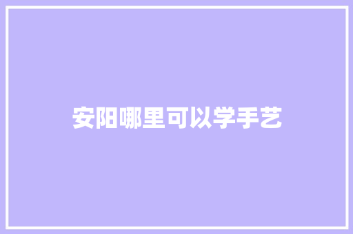 安阳哪里可以学手艺
