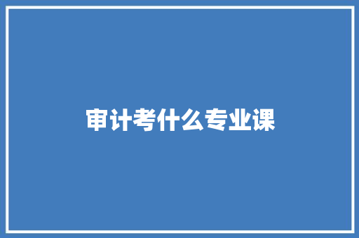 审计考什么专业课 范文参考