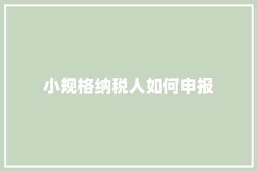 小规格纳税人如何申报 范文参考