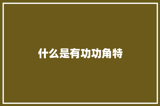 什么是有功功角特 范文精选网