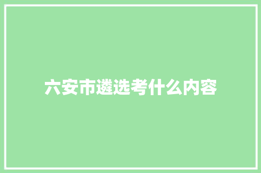 六安市遴选考什么内容