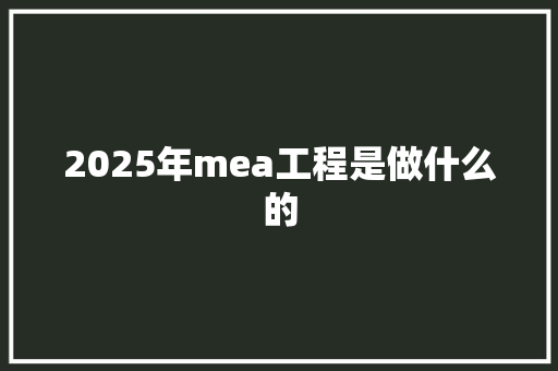 2025年mea工程是做什么的 职场应用