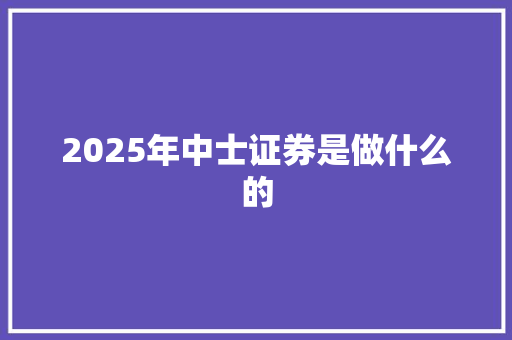 2025年中士证券是做什么的
