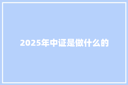 2025年中证是做什么的