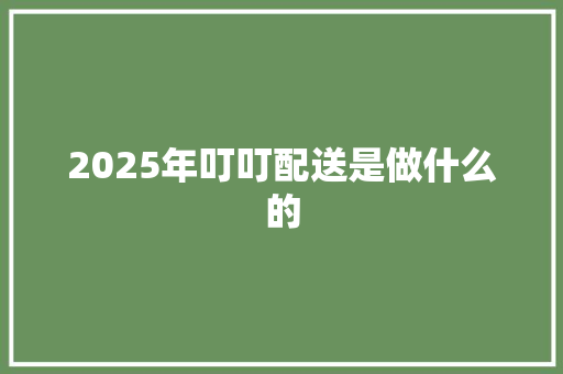 2025年叮叮配送是做什么的 范文资源
