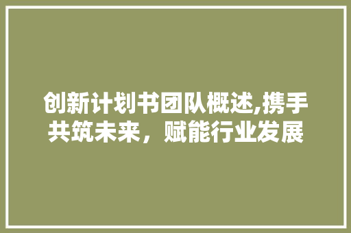 创新计划书团队概述,携手共筑未来，赋能行业发展