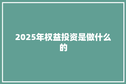 2025年权益投资是做什么的 商业计划书范文