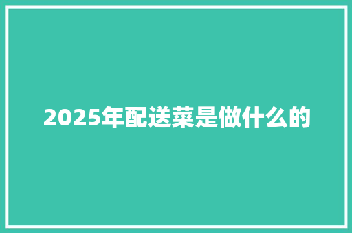 2025年配送菜是做什么的