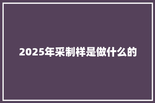 2025年采制样是做什么的 商业计划书范文