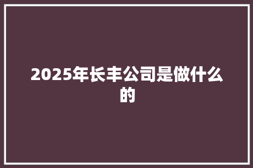 2025年长丰公司是做什么的