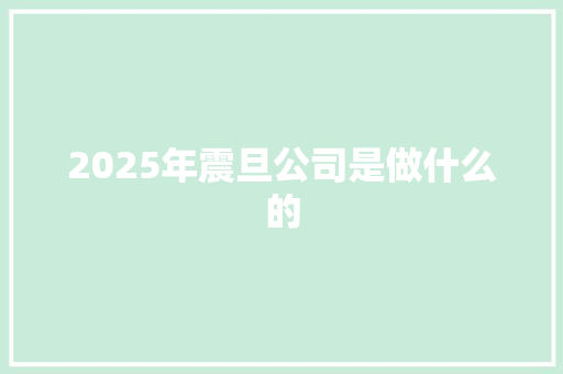 2025年震旦公司是做什么的 职场应用
