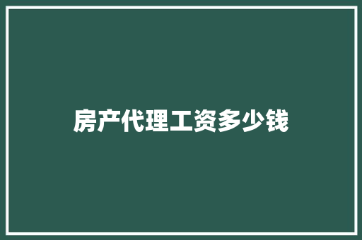 房产代理工资多少钱