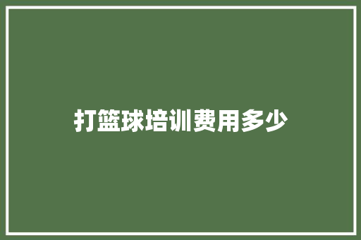 打篮球培训费用多少