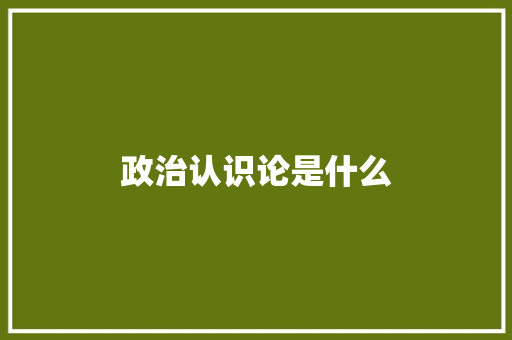 政治认识论是什么