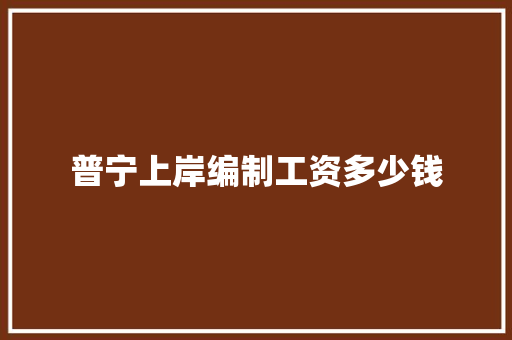 普宁上岸编制工资多少钱