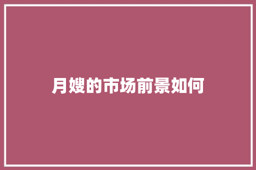 月嫂的市场前景如何