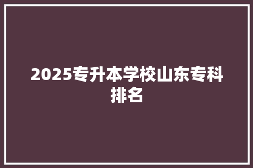 2025专升本学校山东专科排名