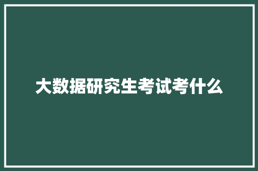 大数据研究生考试考什么