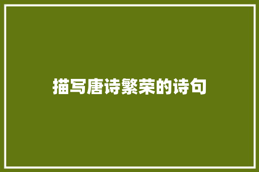 描写唐诗繁荣的诗句