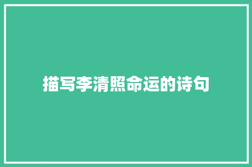 描写李清照命运的诗句