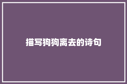 描写狗狗离去的诗句 商业计划书范文