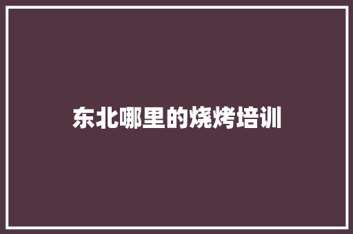 东北哪里的烧烤培训