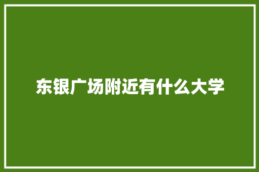 东银广场附近有什么大学 优秀范文