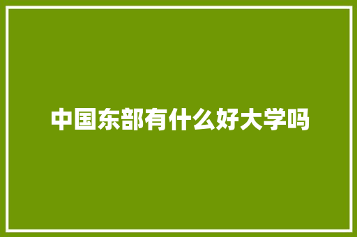 中国东部有什么好大学吗