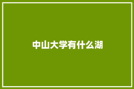 中山大学有什么湖 商业计划书范文