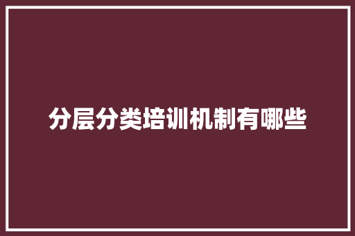 分层分类培训机制有哪些 优秀范文