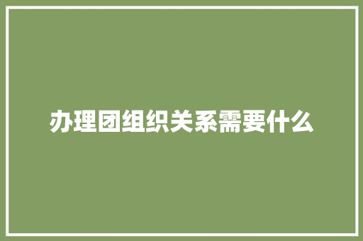 办理团组织关系需要什么