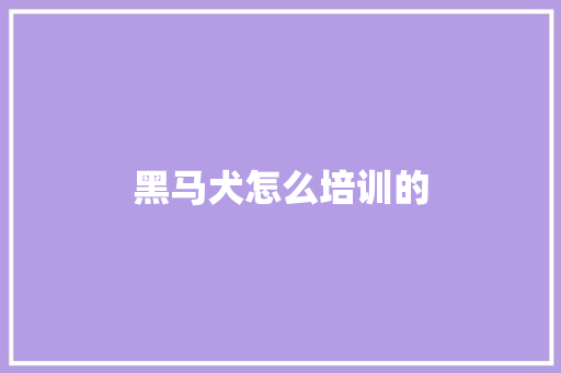 黑马犬怎么培训的 范文参考