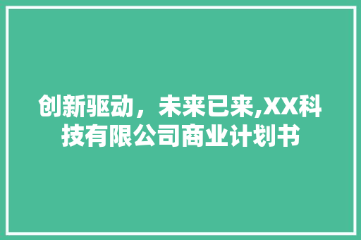 创新驱动，未来已来,XX科技有限公司商业计划书