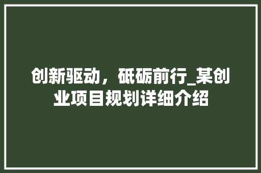 创新驱动，砥砺前行_某创业项目规划详细介绍
