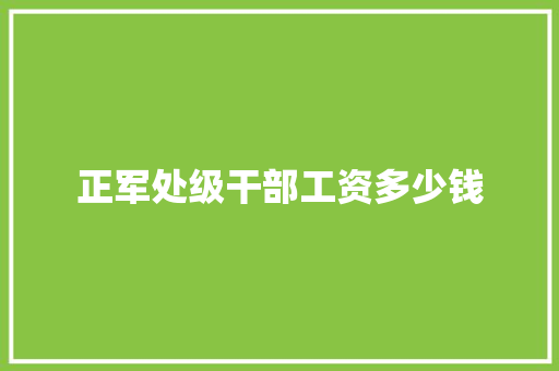 正军处级干部工资多少钱