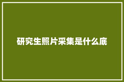 研究生照片采集是什么底 范文精选网