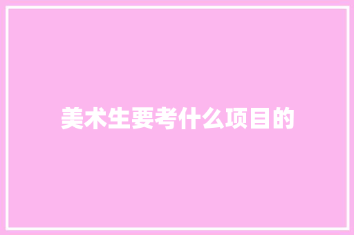美术生要考什么项目的 商业计划书范文