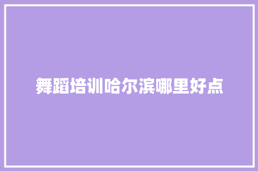 舞蹈培训哈尔滨哪里好点 范文宝典