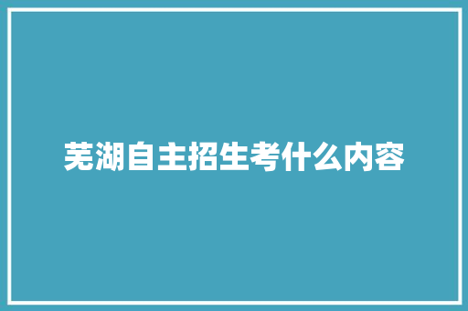 芜湖自主招生考什么内容 合同协议