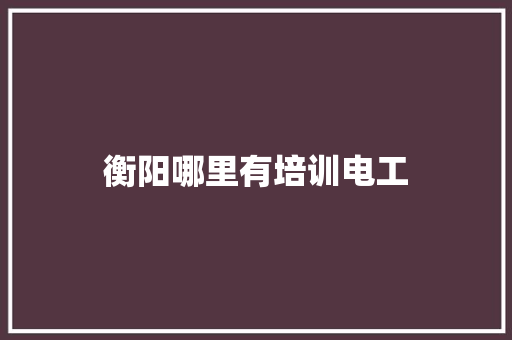 衡阳哪里有培训电工 范文资源