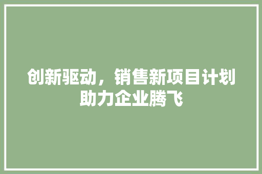 创新驱动，销售新项目计划助力企业腾飞