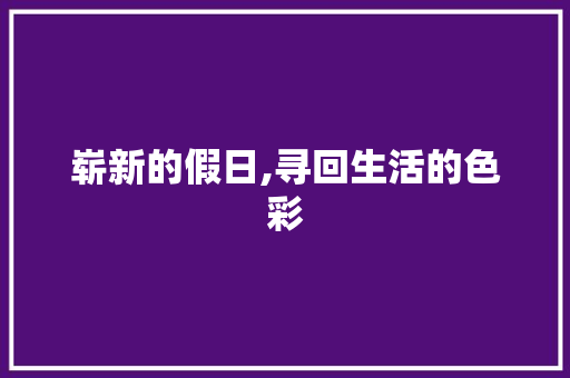 崭新的假日,寻回生活的色彩