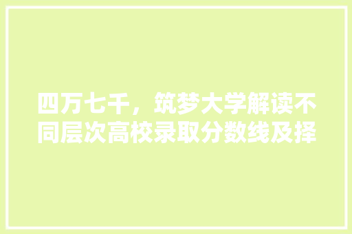 四万七千，筑梦大学解读不同层次高校录取分数线及择校建议