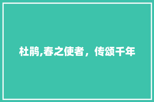 杜鹃,春之使者，传颂千年 职场应用
