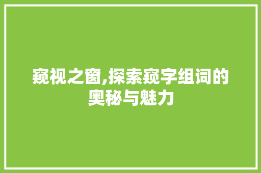 窥视之窗,探索窥字组词的奥秘与魅力 范文资源