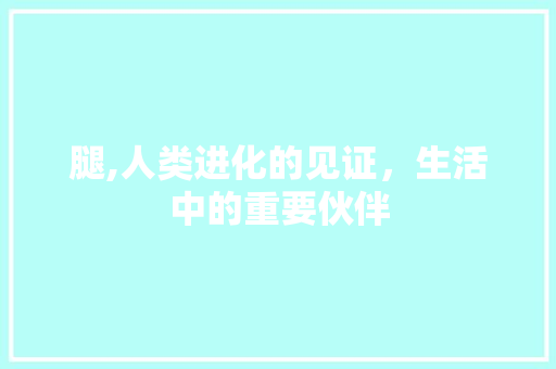 腿,人类进化的见证，生活中的重要伙伴 优秀范文